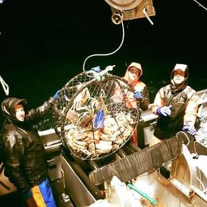 Meet your Posher, Erick